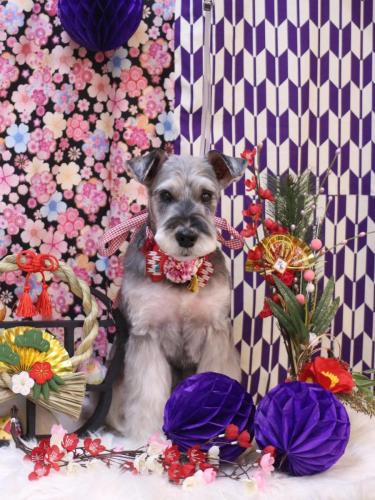 20250111小鉄くん